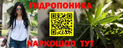 соль ск Ипатово