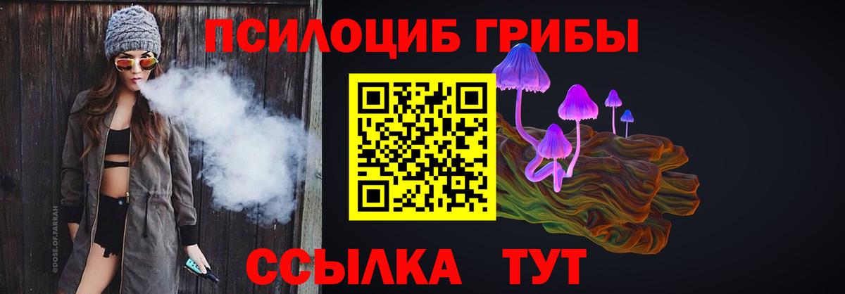 Кинель  Галлюциногенные грибы GOLDEN TEACHER  Галлюциногенные грибы Cubensis  Вход с VPN 