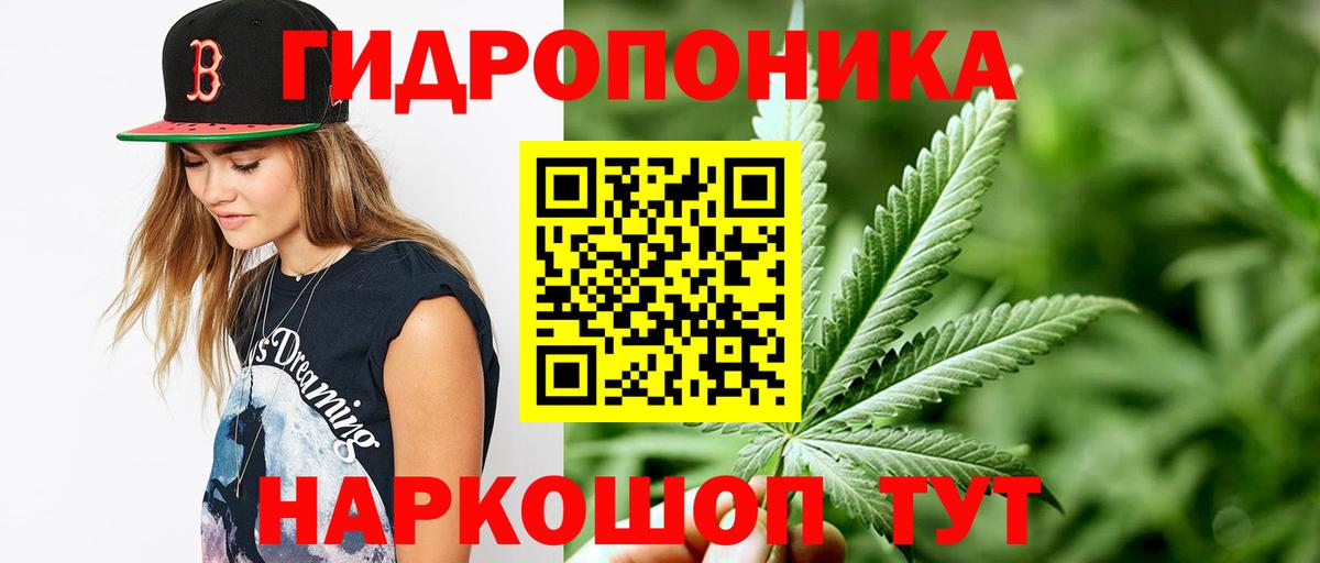 ГАШ Кинель